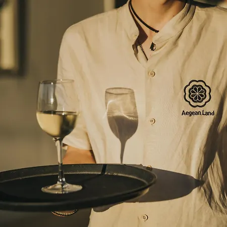 Hotell Aegean Palace 4*