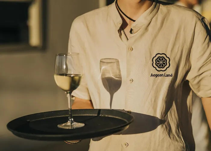 Hotel Aegean Palace 4*